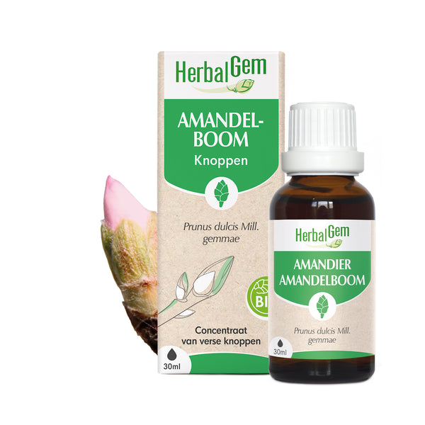 030063-nl20-moedermaceraten-amandelboom-bio-herbalgem-01.jpg