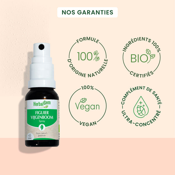 030171-figuier-spray-herbalgem-15ml-fr24-5407008641504-03.jpg
