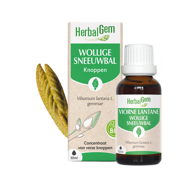 030443-nl20-moedermaceraten-wolligesneeuwbal-bio-herbalgem-01.jpg