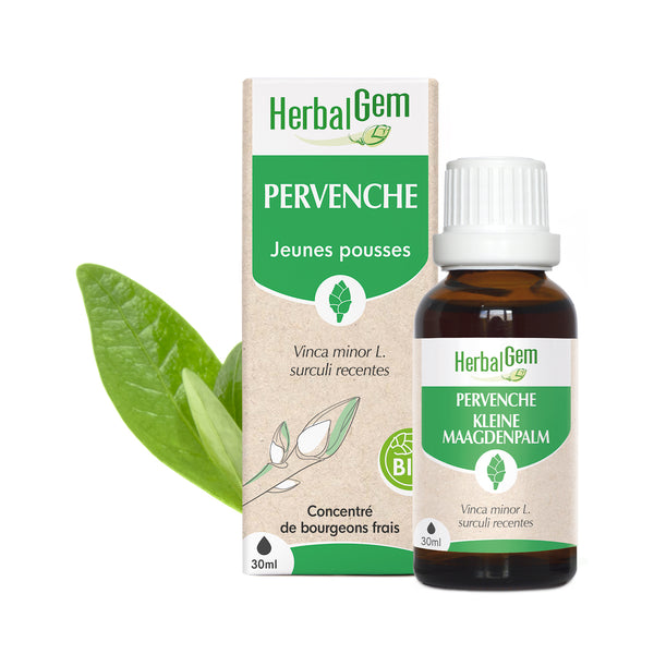 030663-fr20-maceratsmeres-pervenche-bio-herbalgem-01.jpg