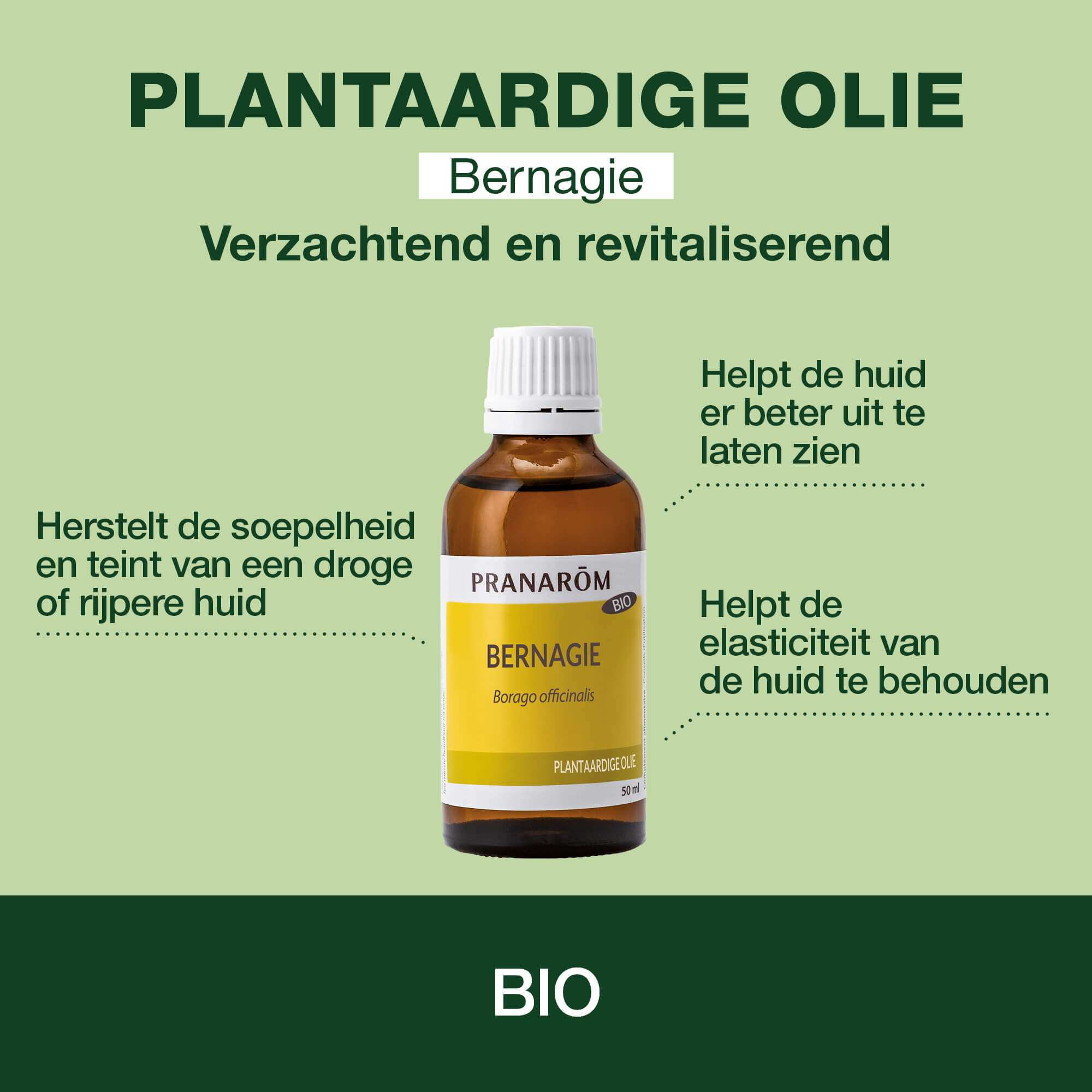 Bernagie - Bio - Bio