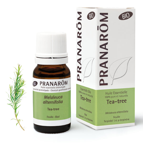 15150-hebio-frnl20-tea-tree-10ml-pranarom-01.jpg