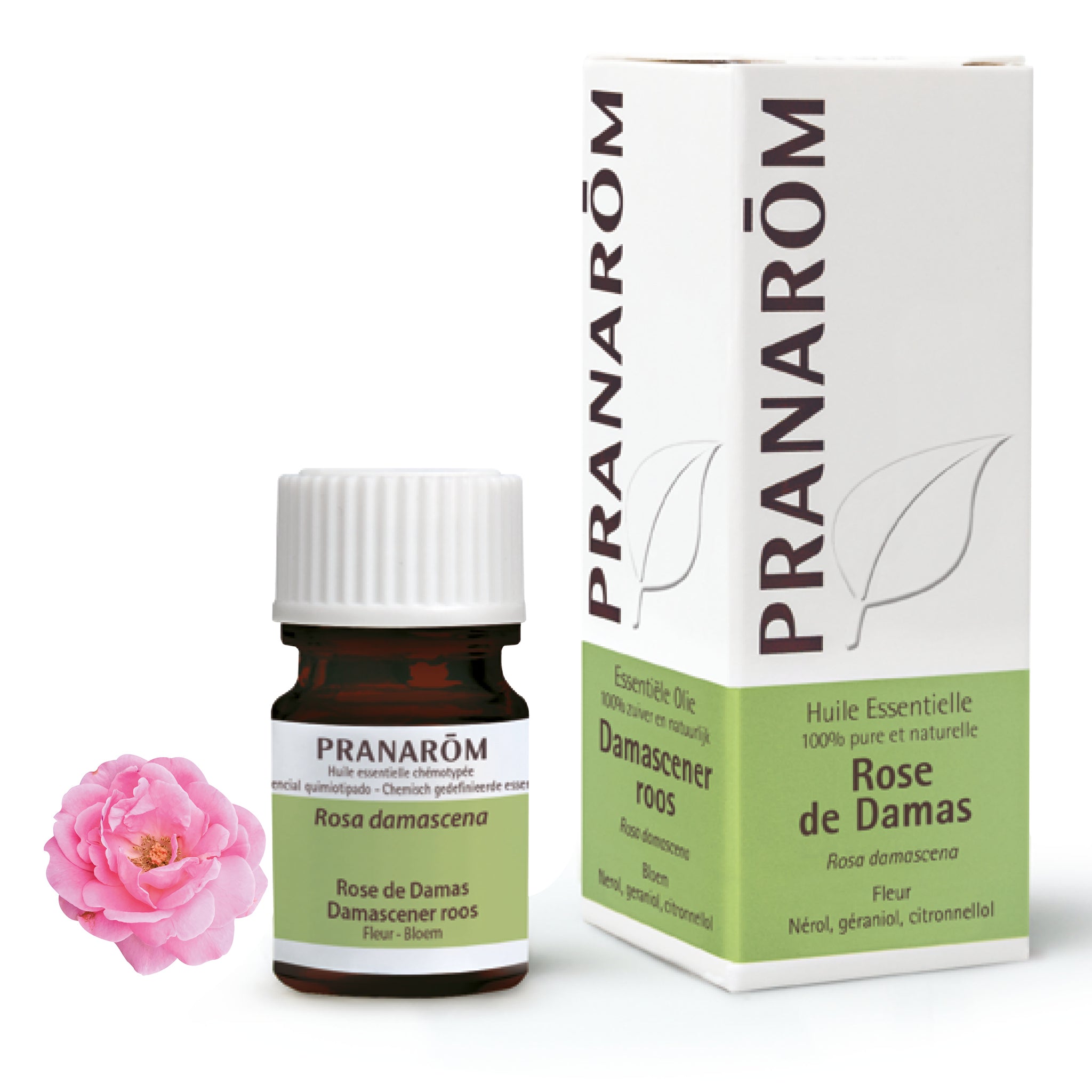 Rose (Roos) BIOLOGISCHE essentiële olie - ABSOLUTE • Pure Naturals Rose (Roos) BIOLOGISCHE essentiële olie - ABSOLUTE • Pure Naturals
