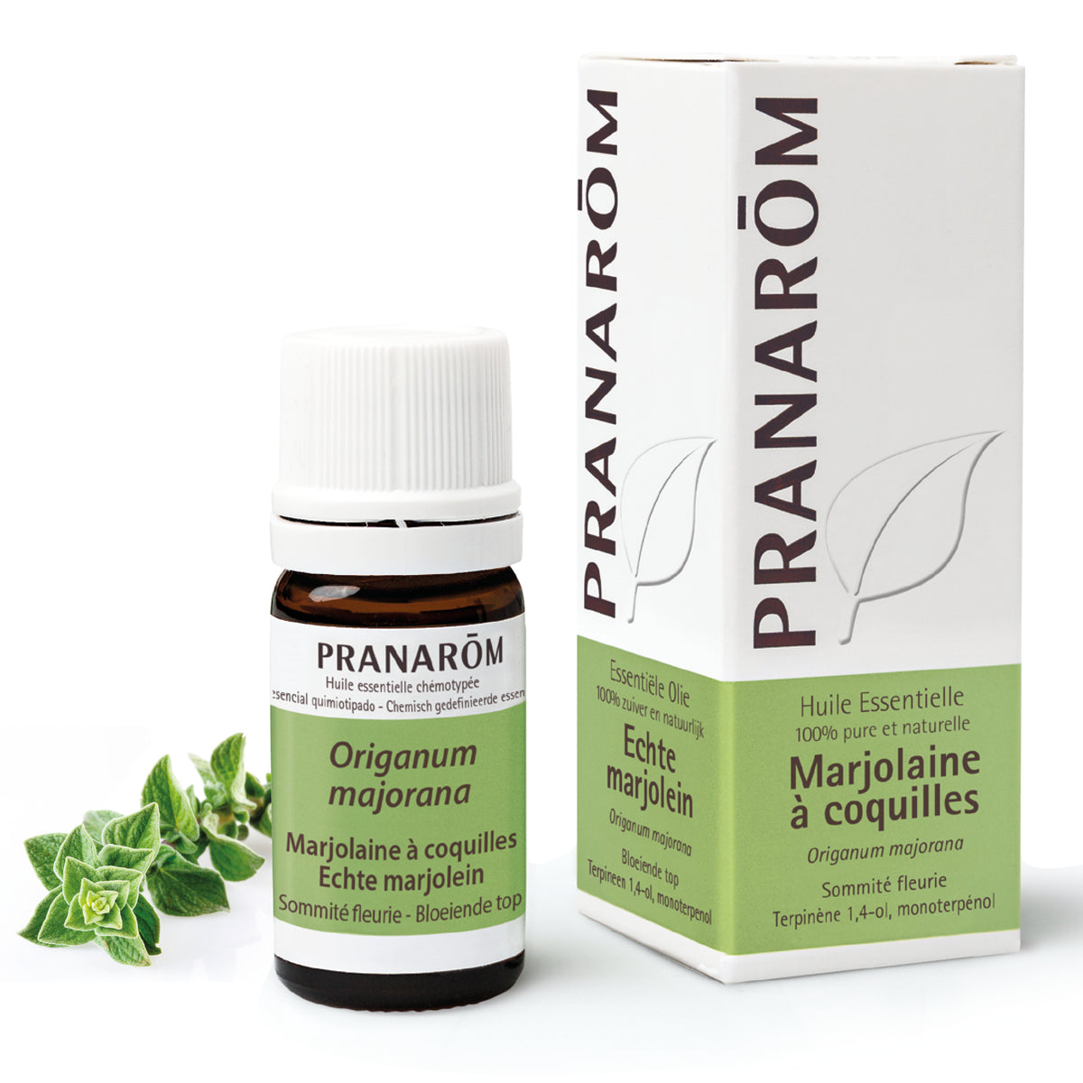 15188-he-frnl20-marjolaine-a-coquilles-echte-marjolein-5ml-pranarom-01.jpg