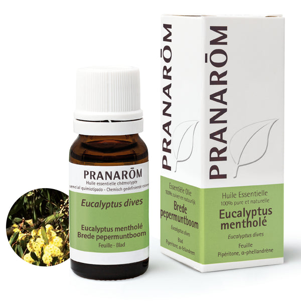 15212-he-frnl20-eucalyptus-menthole-brede-pepermuntboom-10ml-pranarom-01.jpg