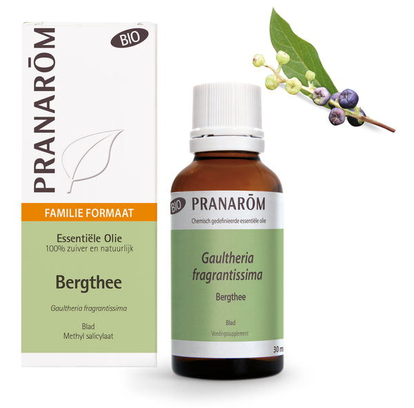 15632-nl-essentiele-olie-bergthee-bio-30-ml-pranarom-01.jpg