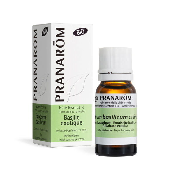 15802-basilic-exotique-ct-linalol-pranarom-10ml-fr23-5420008529238-01.jpg