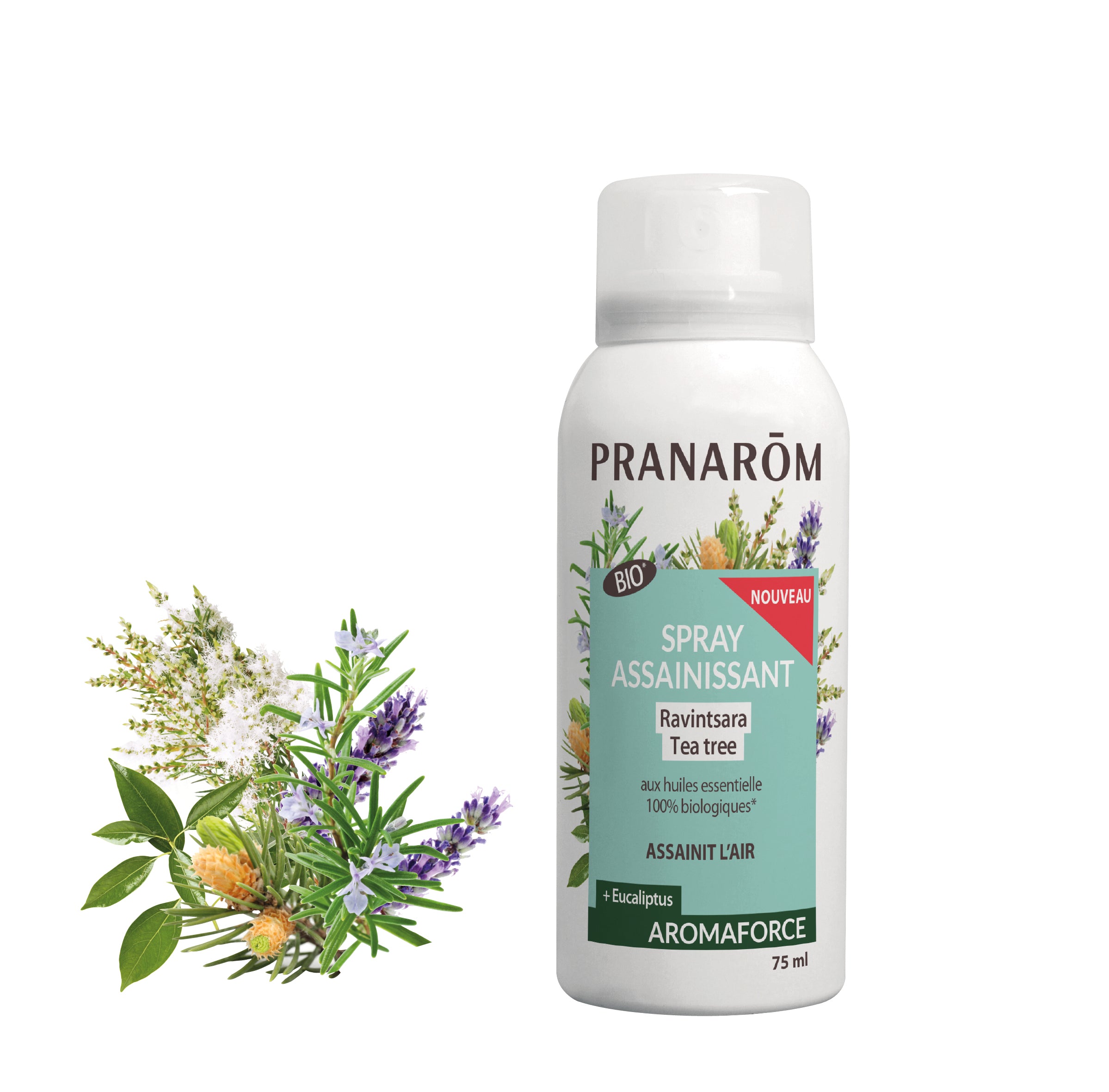 17587-frbe20-aromaforce-spray-assainissant-ravintsara-tea-tree-bio-75ml-pranarom-01.jpg