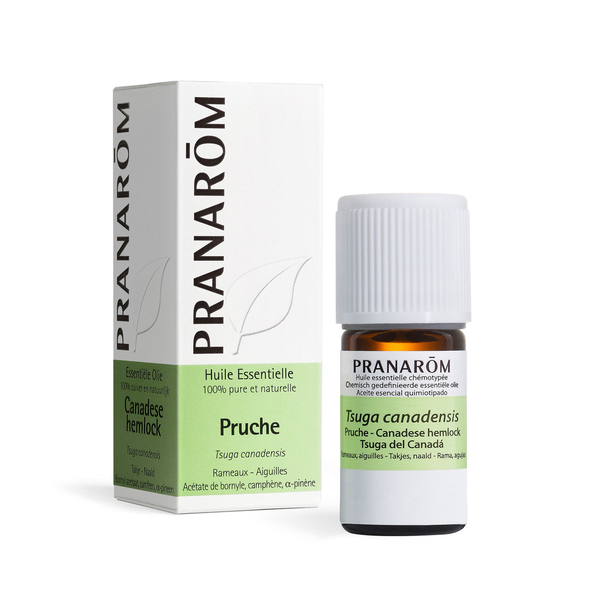 17978-pruche-pranarom-5ml-fr23-5420008540530-01.jpg