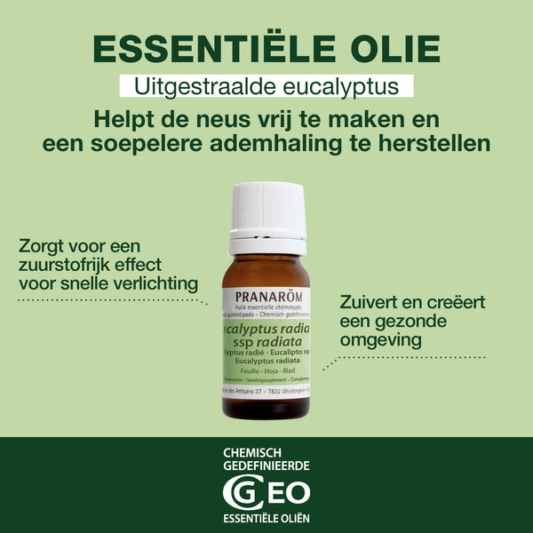256-he-eucalyptus-radie-pranarom-10ml-nl25-5420008502569-02.jpg