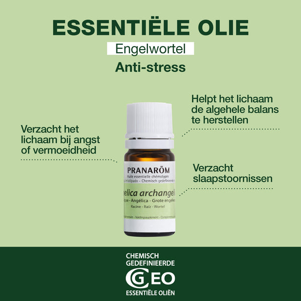 37-he-angelique-pranarom-5ml-nl25-5420008500374-02.jpg