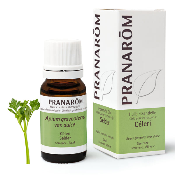 49-he-frnl20-celeri-selder-10ml-pranarom-01.jpg