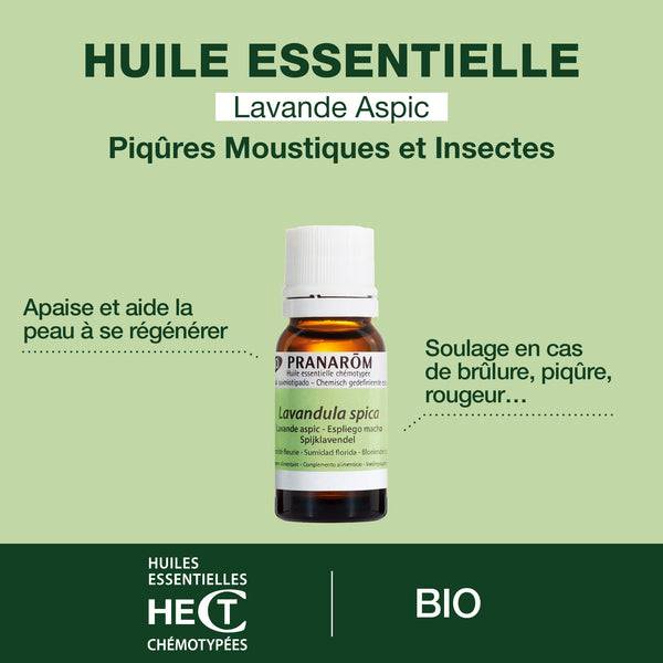 5172-he-lavande-aspic-sommite-fleurie-pranarom-10ml-fr24-5420008574283-02.jpg