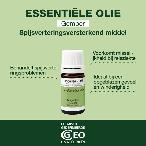 656-he-gingembre-pranarom-5ml-nl25-5420008506567-02.jpg
