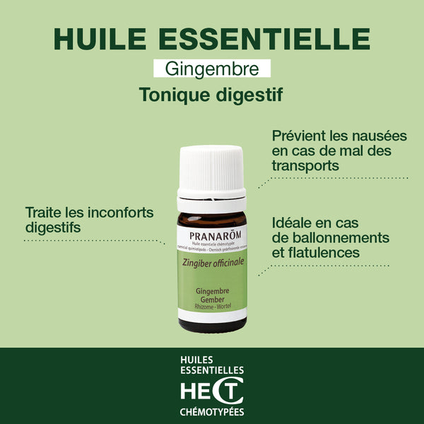 656-he-gingembre-rhizome-pranarom-5ml-fr24-5420008506567-02.jpg