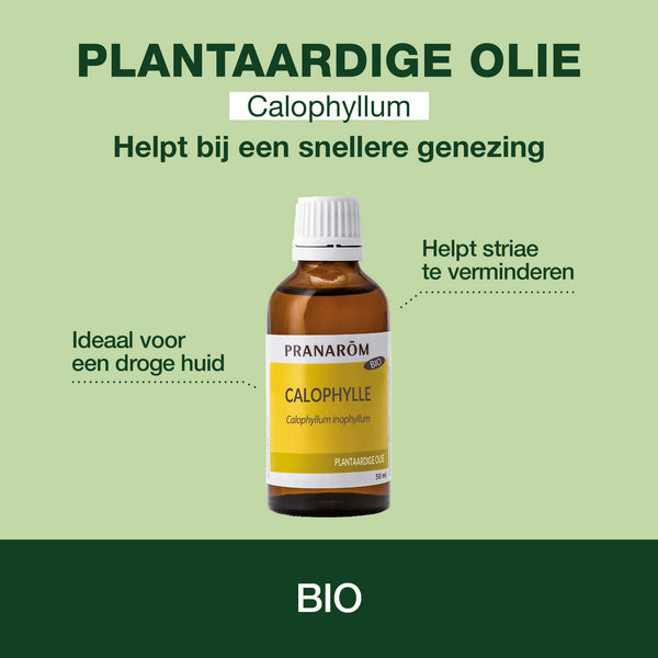 6732-hv-calophylle-pranarom-50ml-bio-nl25-5420008596766-02.jpg