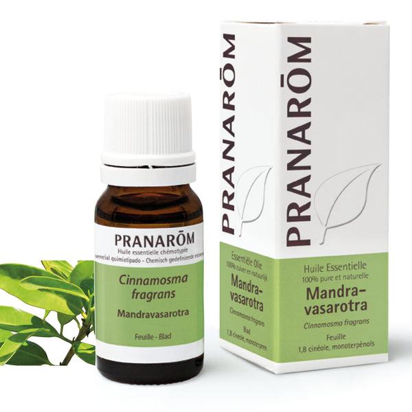 6751-he-frnl20-mandravasarotra-10ml-pranarom-01.jpg