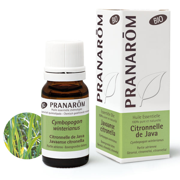 7262-hebio-frnl20-citronnelle-de-java-javaanse-citronella-10ml-pranarom-01.jpg