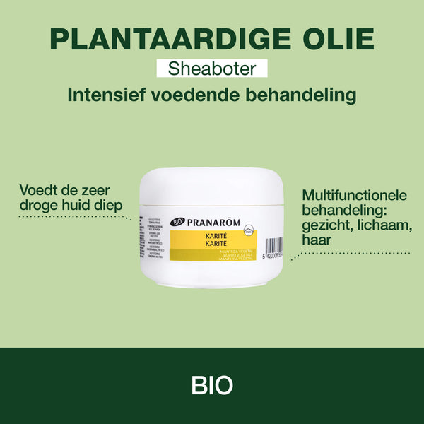 940-hv-beurre-de-karite-pranarom-100ml-bio-nl25-5420008509407-02.jpg