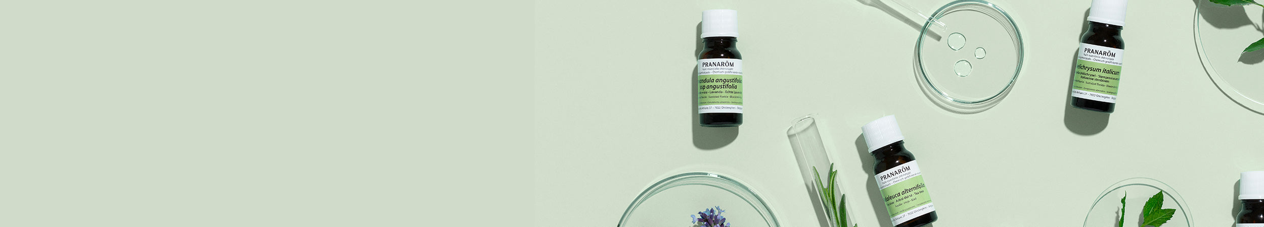 Huiles essentielles chémotypées