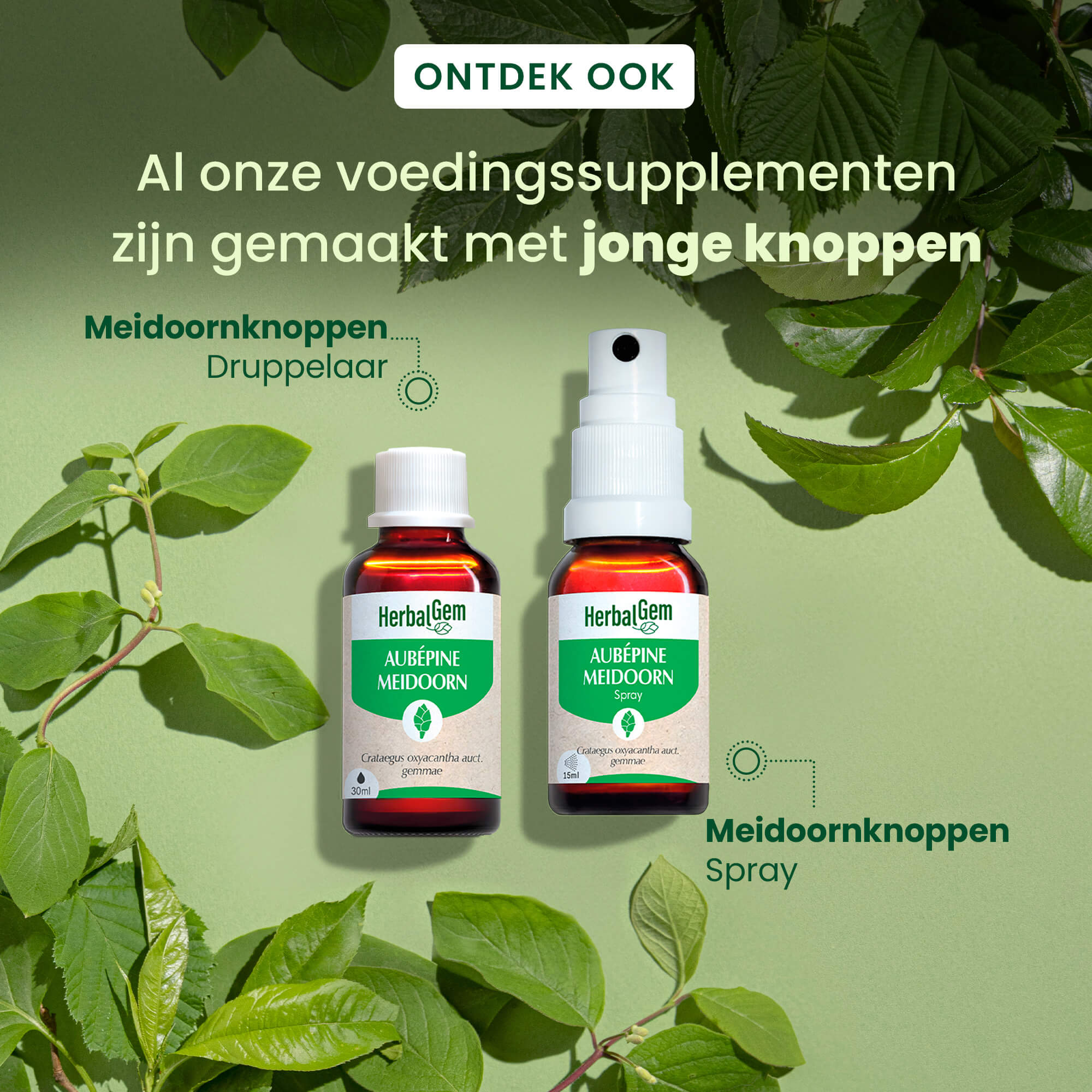 Meidoornknop - spray - Bio