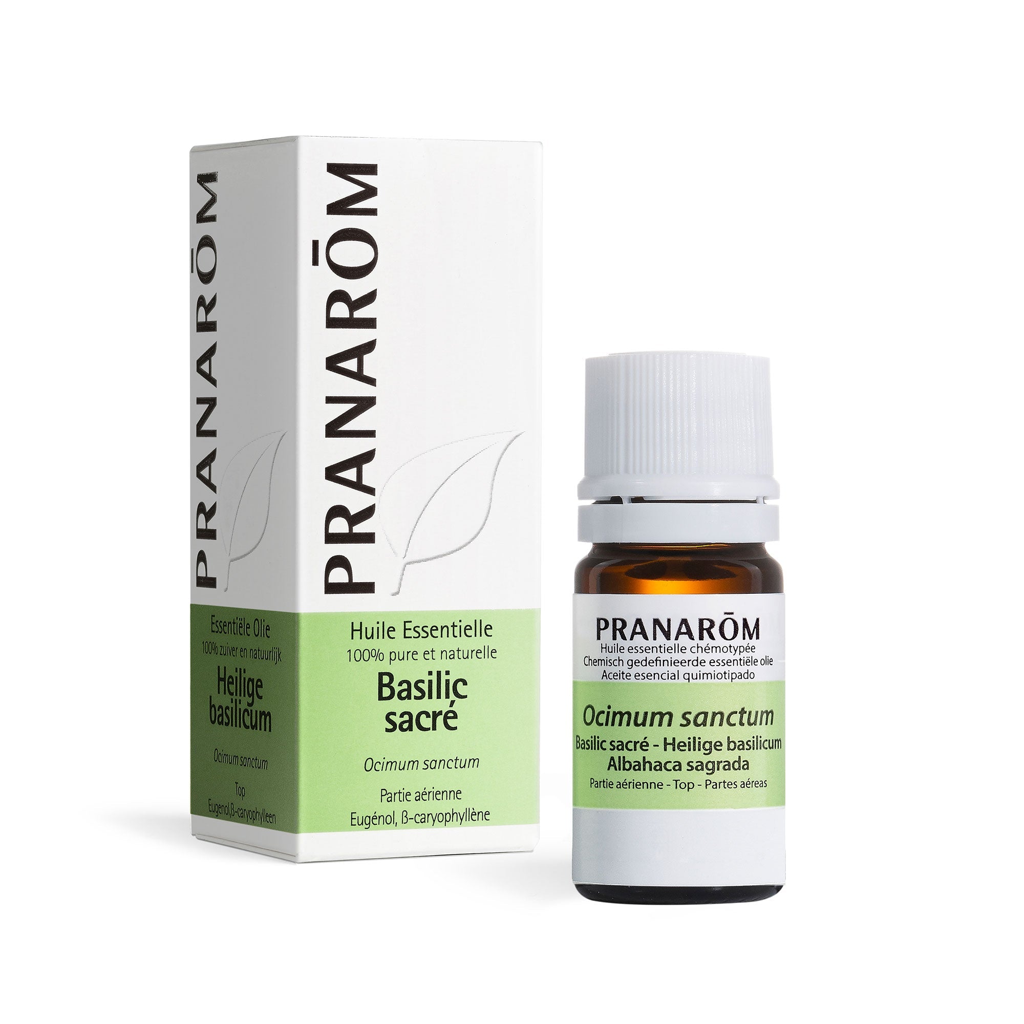 Heilige basilicum