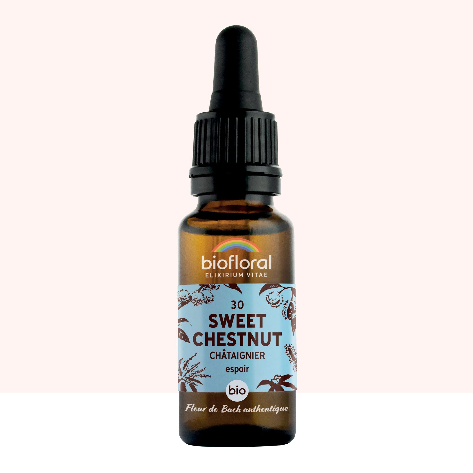 30 - Sweet chestnut - Tamme kastanje - Bio - Bio Demeter