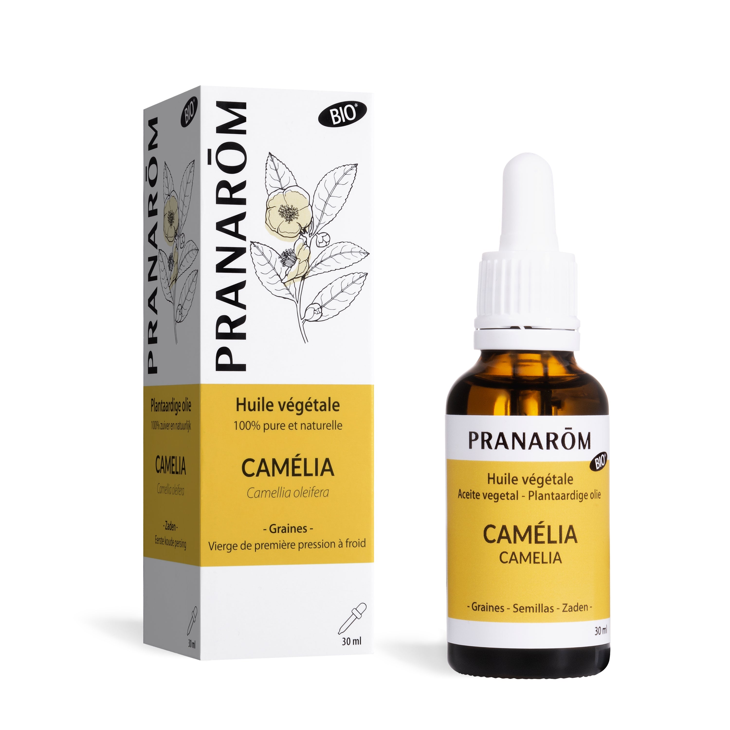 Camelia - Bio - Bio