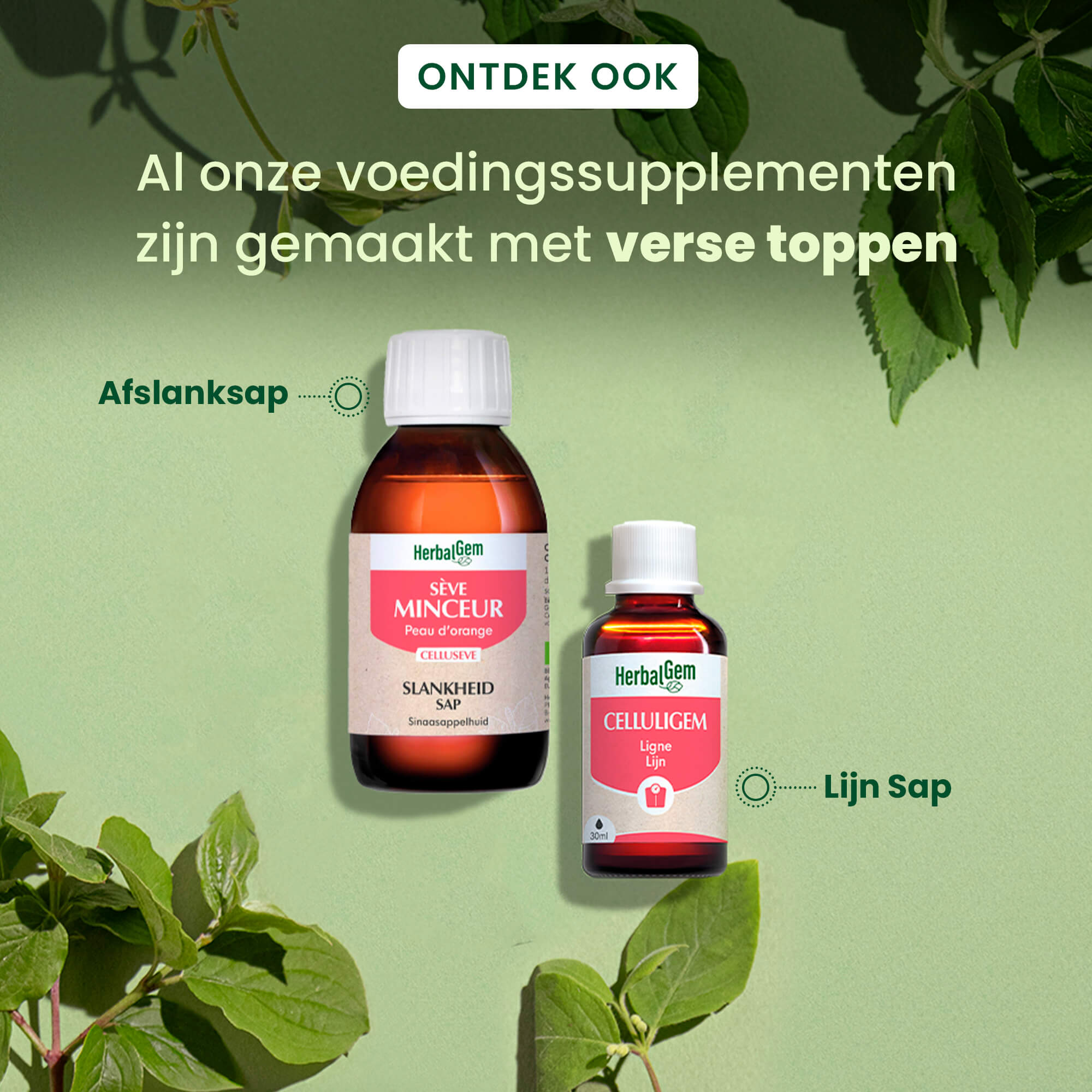 Celluligem - complexe lijn - Bio