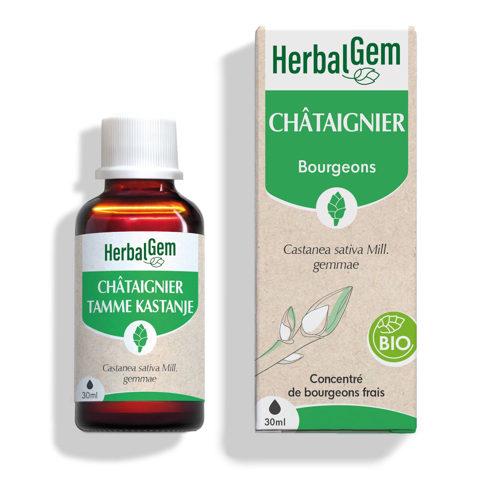 Bourgeon de Châtaignier - Bio