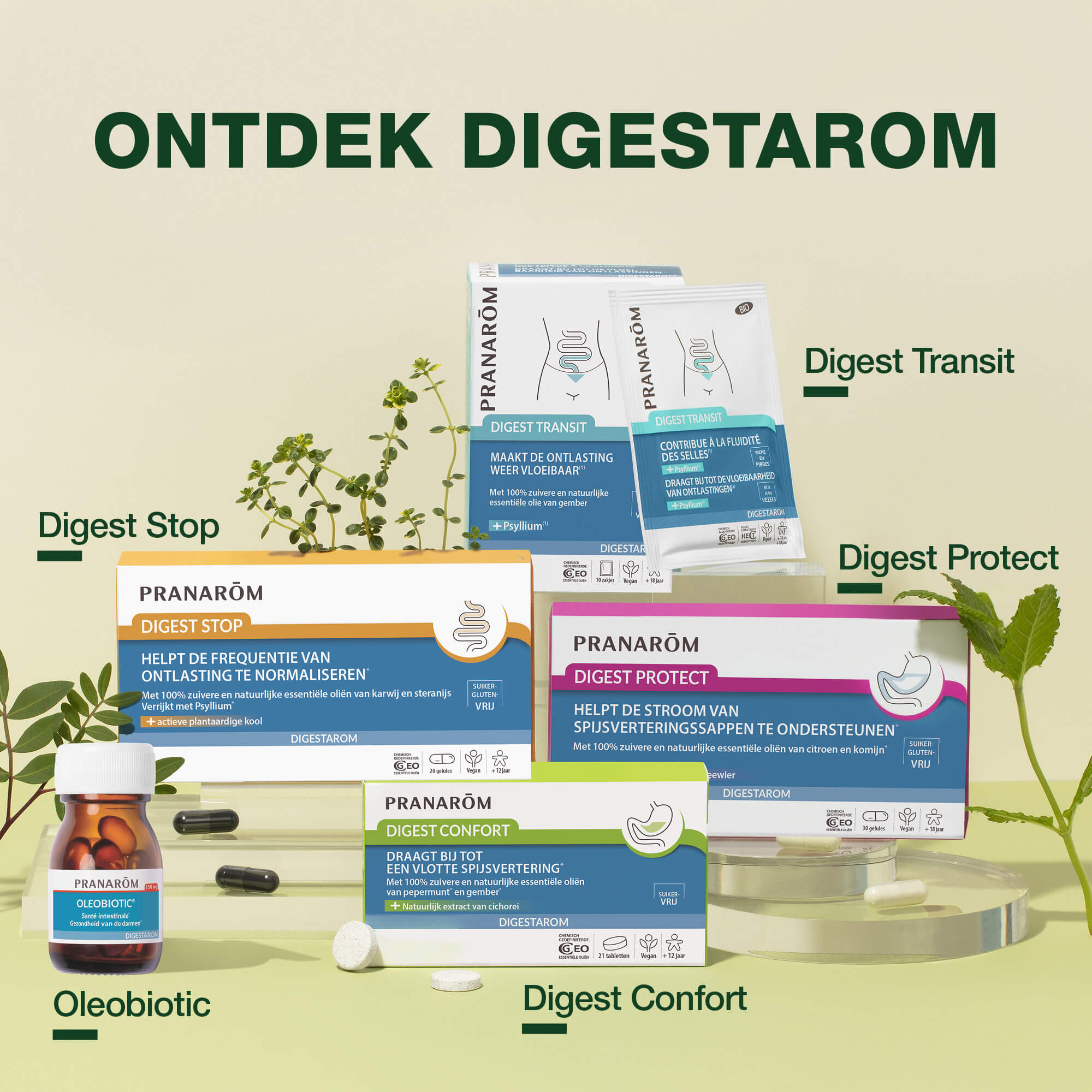 DIGEST TRANSIT - Bio