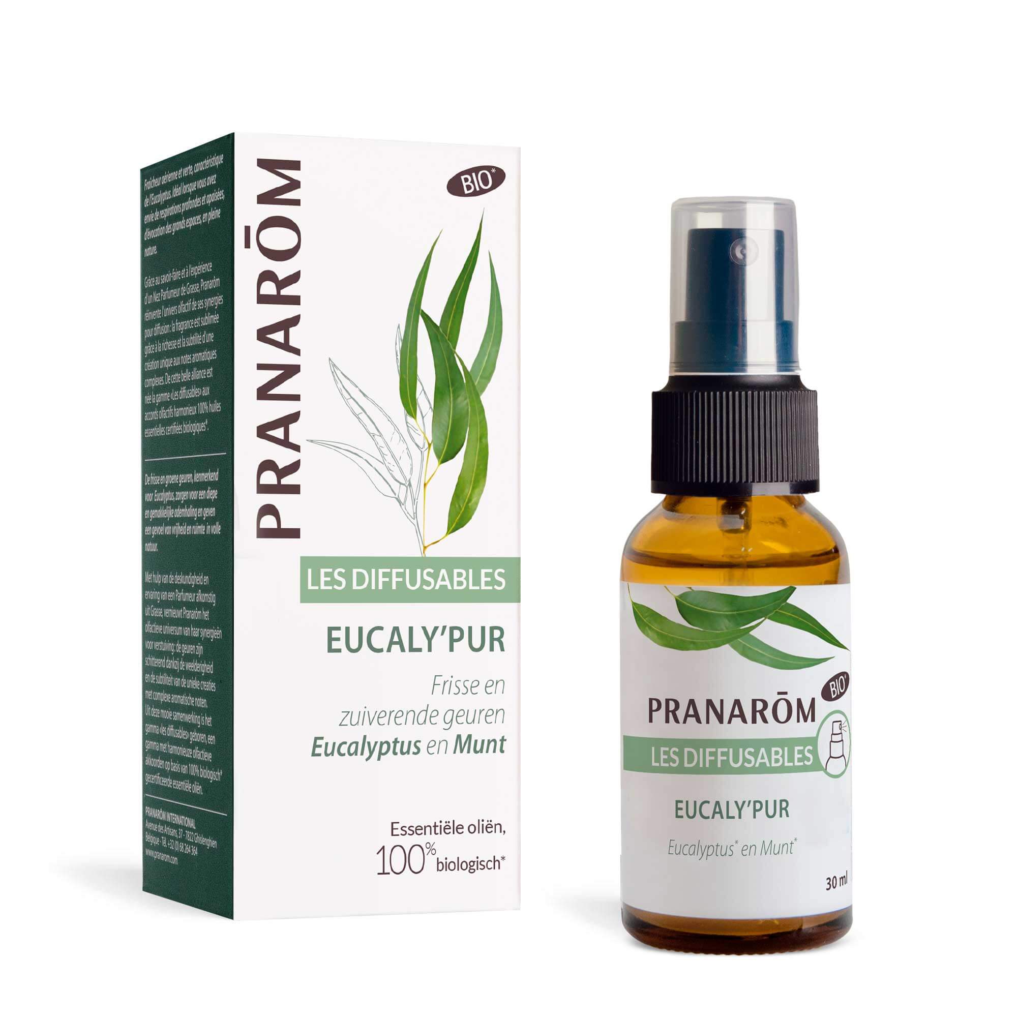 Diffuus in Eucaly'pur spray - Bio