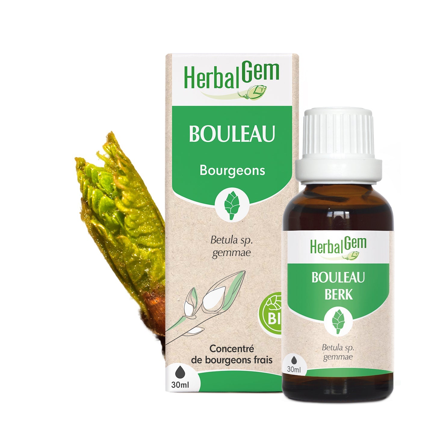 Bourgeon de Bouleau - Bio