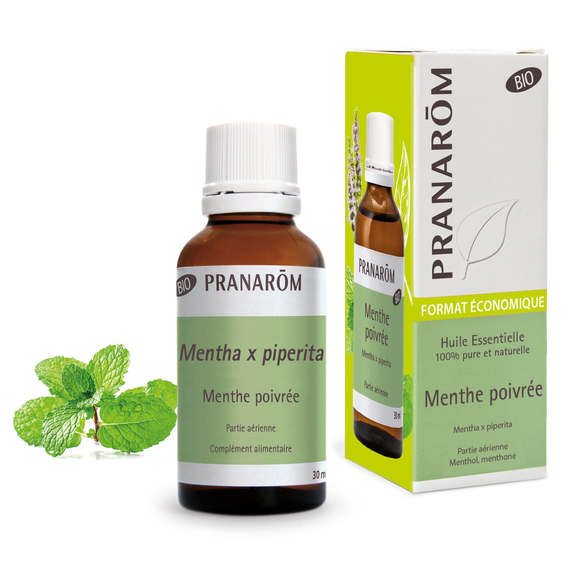 Pepermunt - Bio - Bio