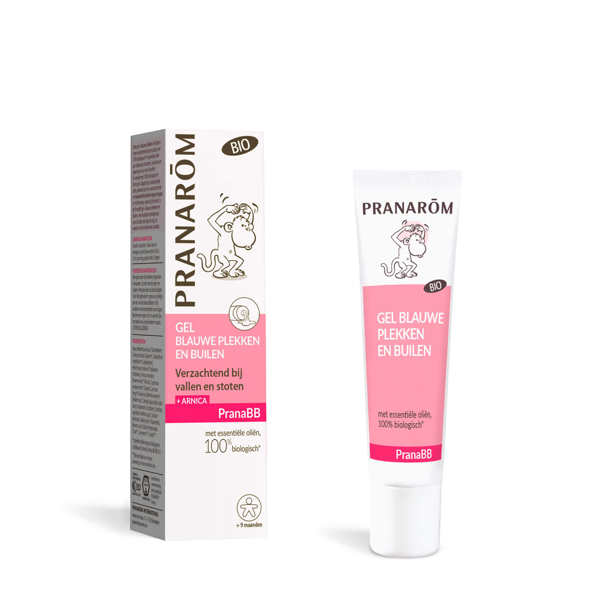 Vorst blauwe-bultjes - Bio