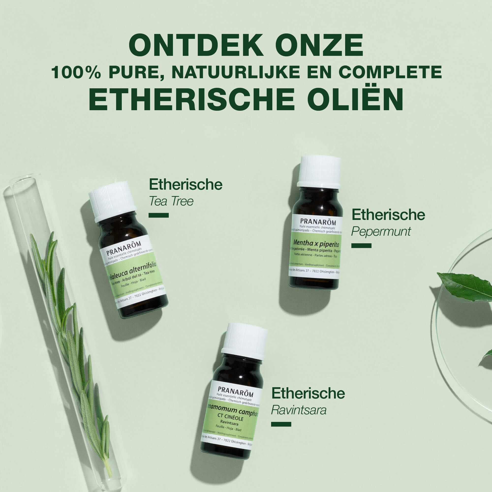 Wintergreen etherische olie - Bio
