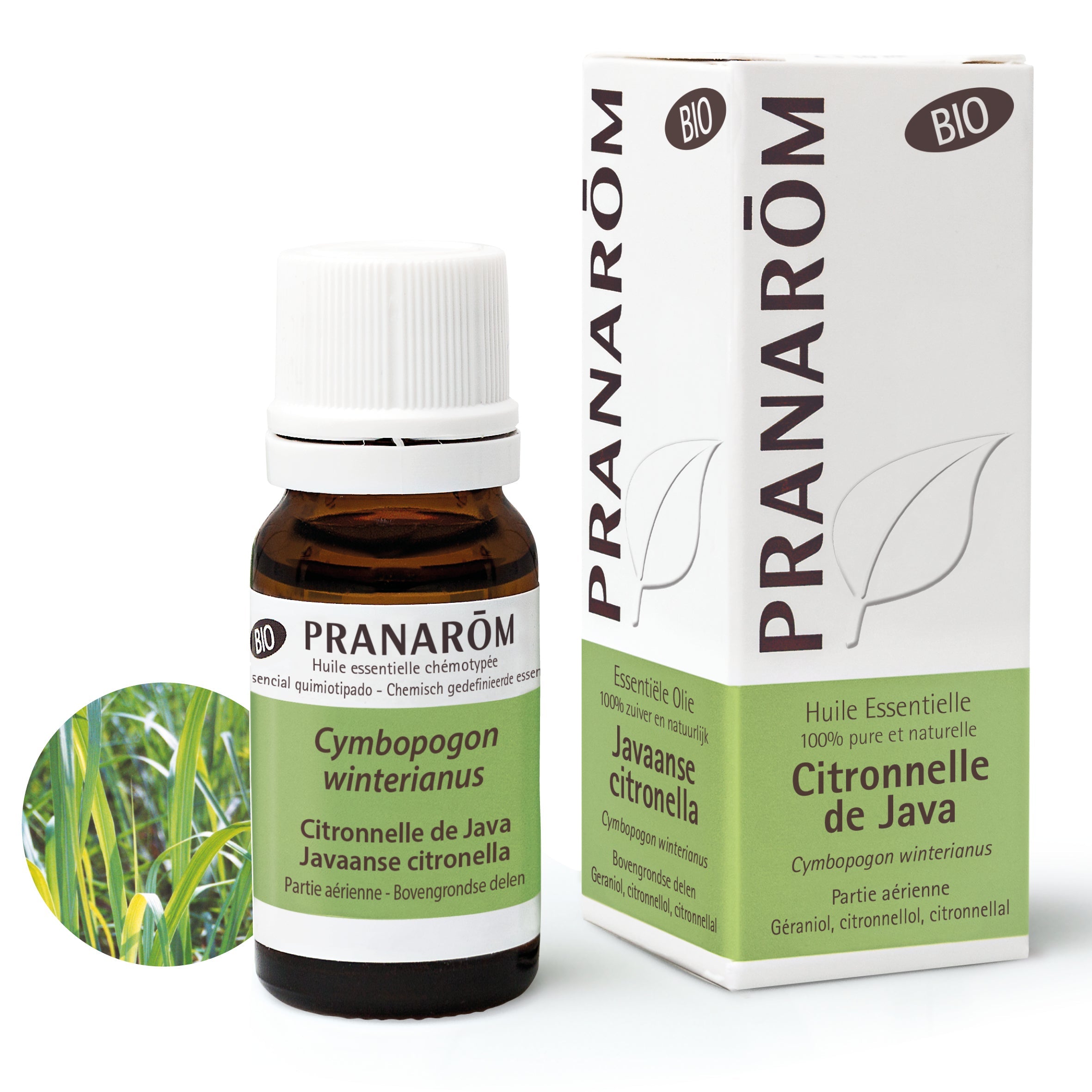 Javaanse citronella - Bio - Bio