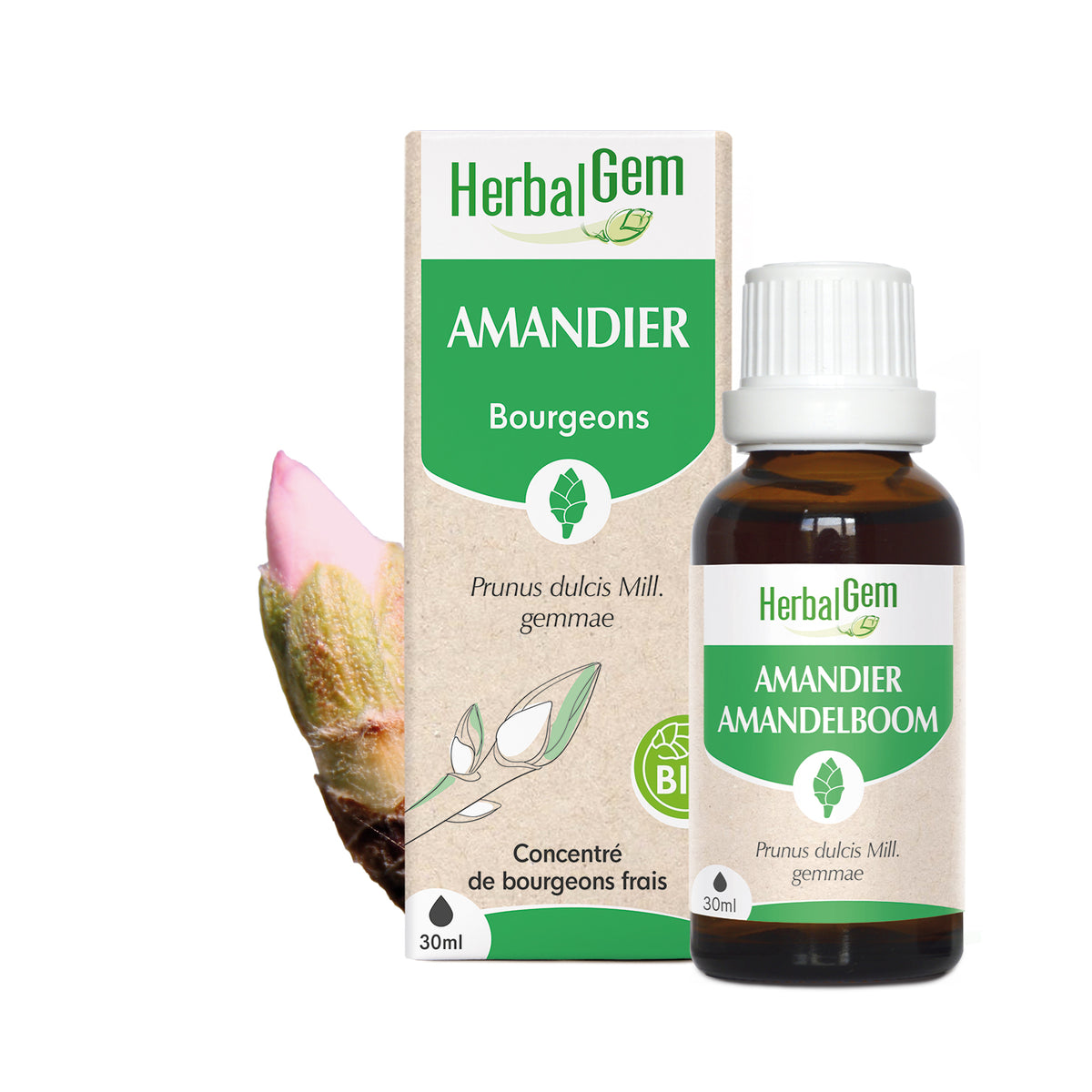 030063-fr20-maceratsmeres-amandier-bio-herbalgem-01.jpg