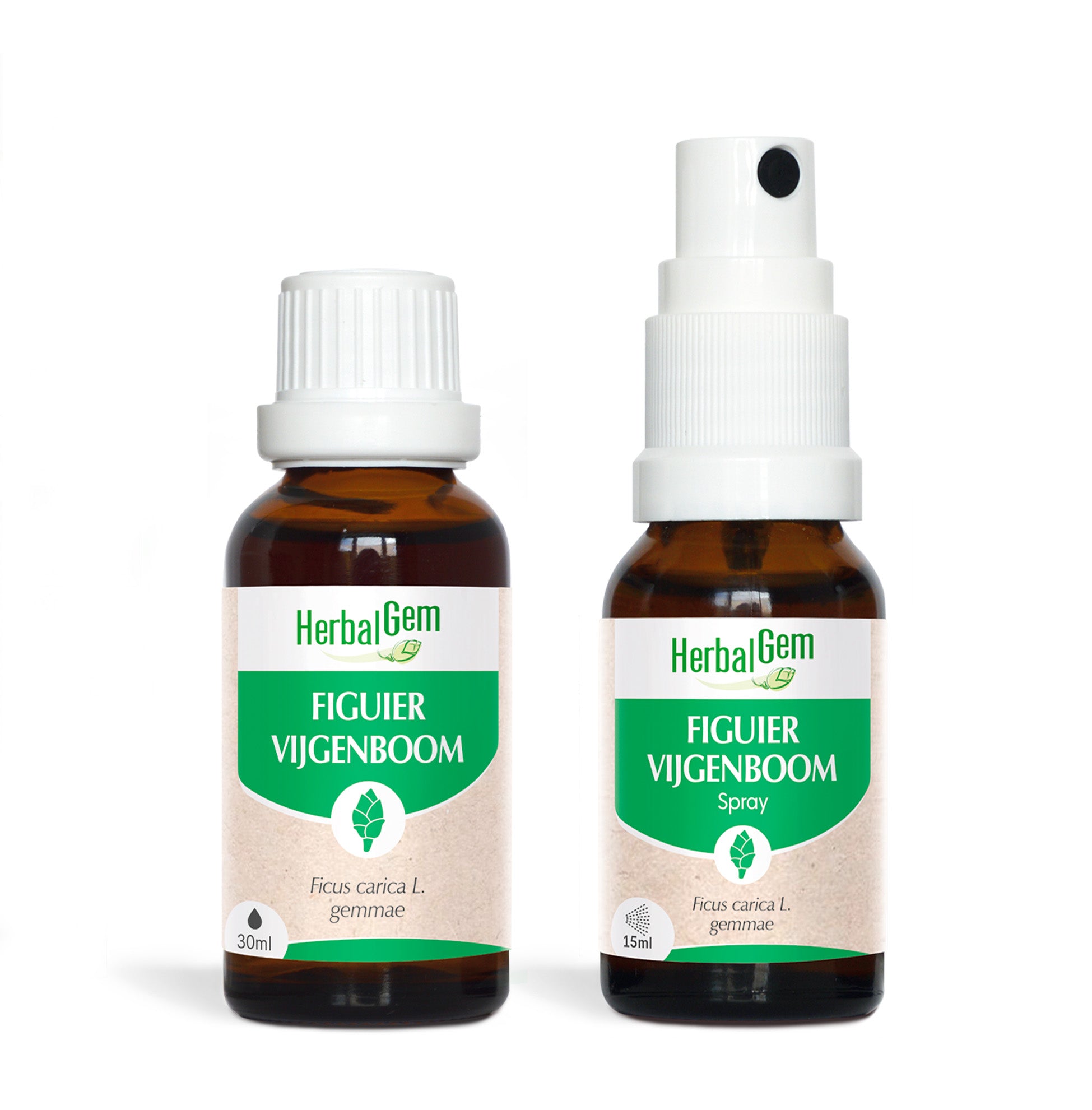 Duoverpakking Vijgenknop 30 ML + 15 ML - Bio