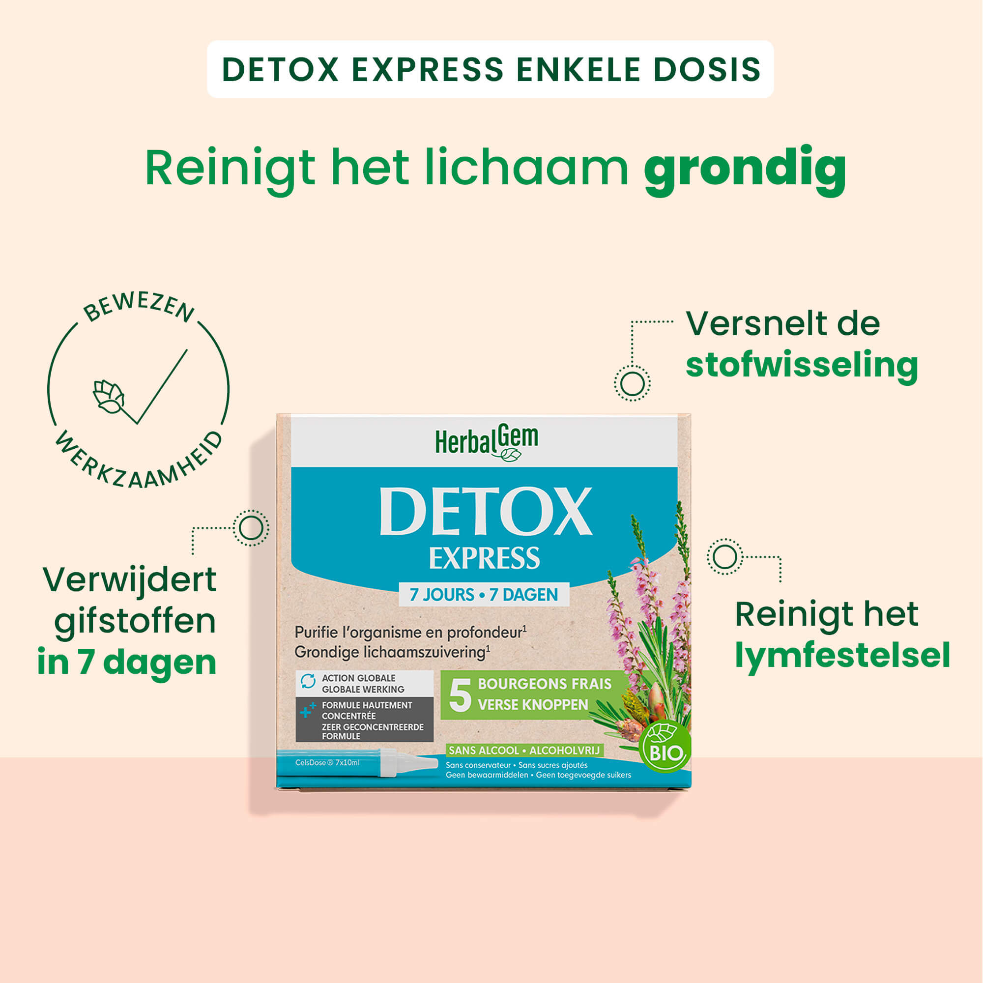 Express Detox - Enkele doses - Bio