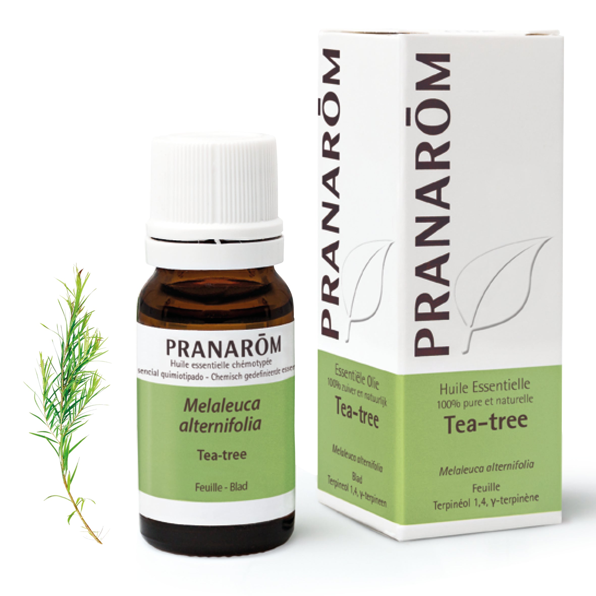 15147-he-frnl20-tea-tree-10ml-pranarom-01.jpg