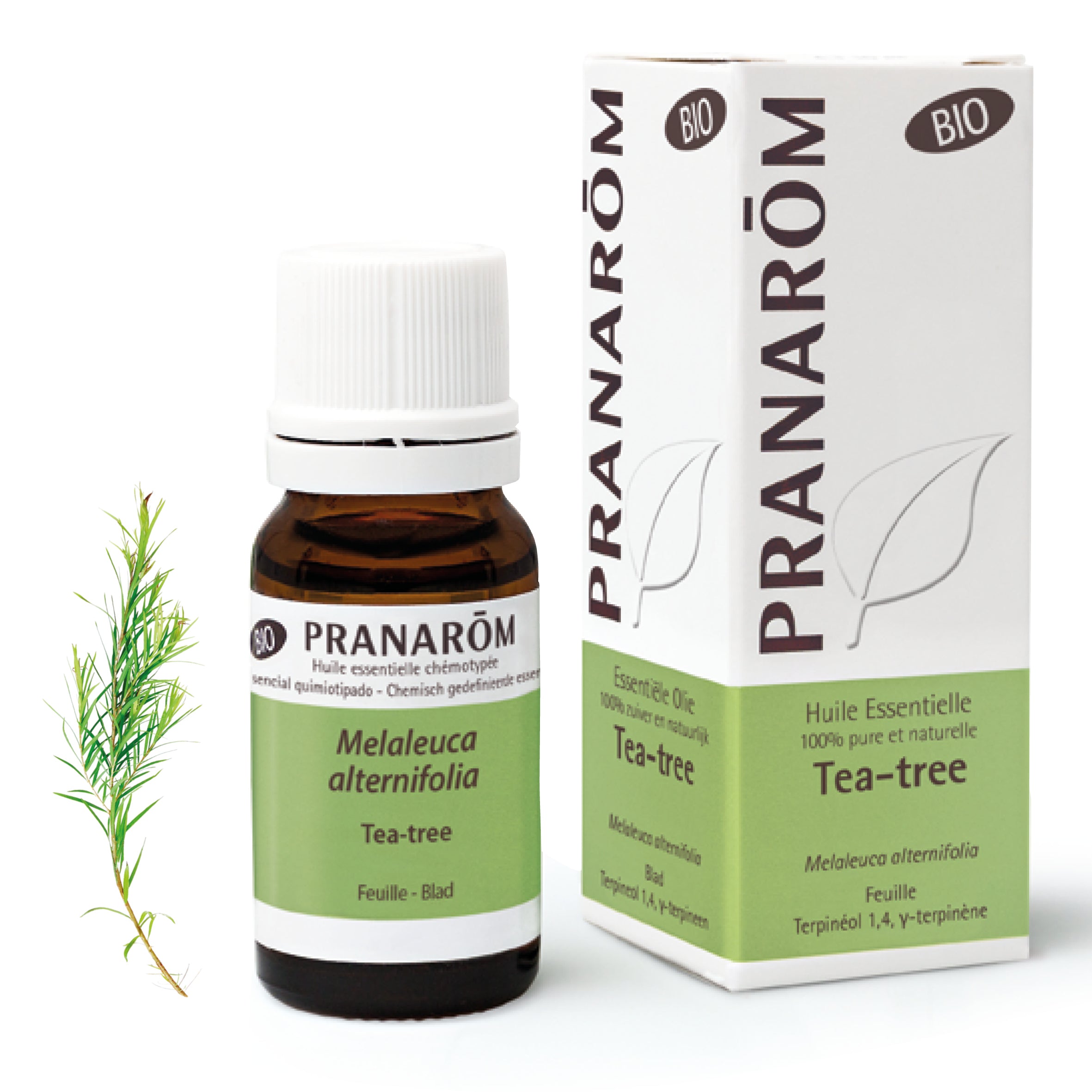 Tea-tree - 10 ml Bio | Pranarôm