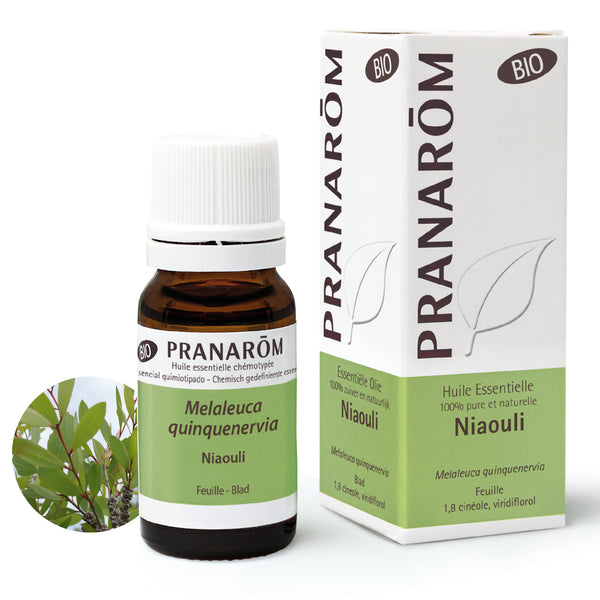15159-hebio-frnl20-niaouli-10ml-pranarom-01.jpg