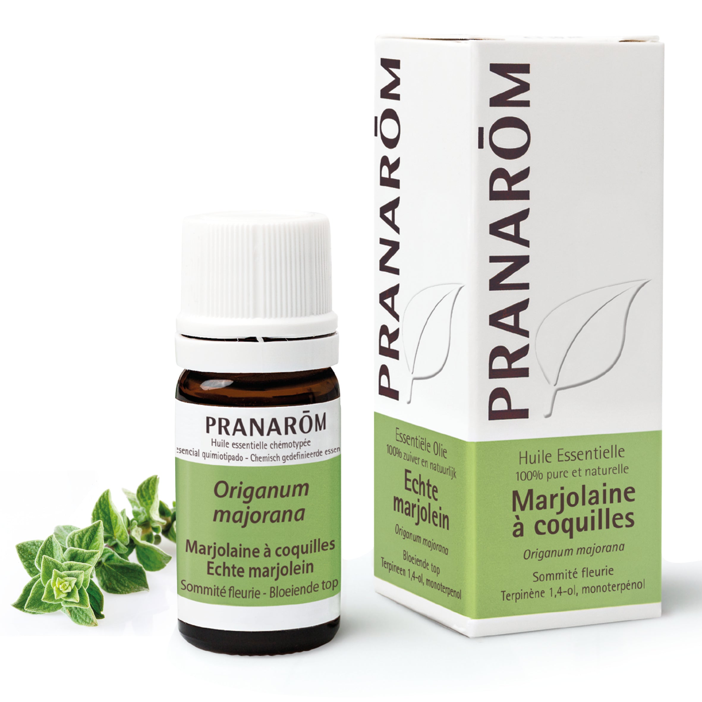 15188-he-frnl20-marjolaine-a-coquilles-echte-marjolein-5ml-pranarom-01.jpg