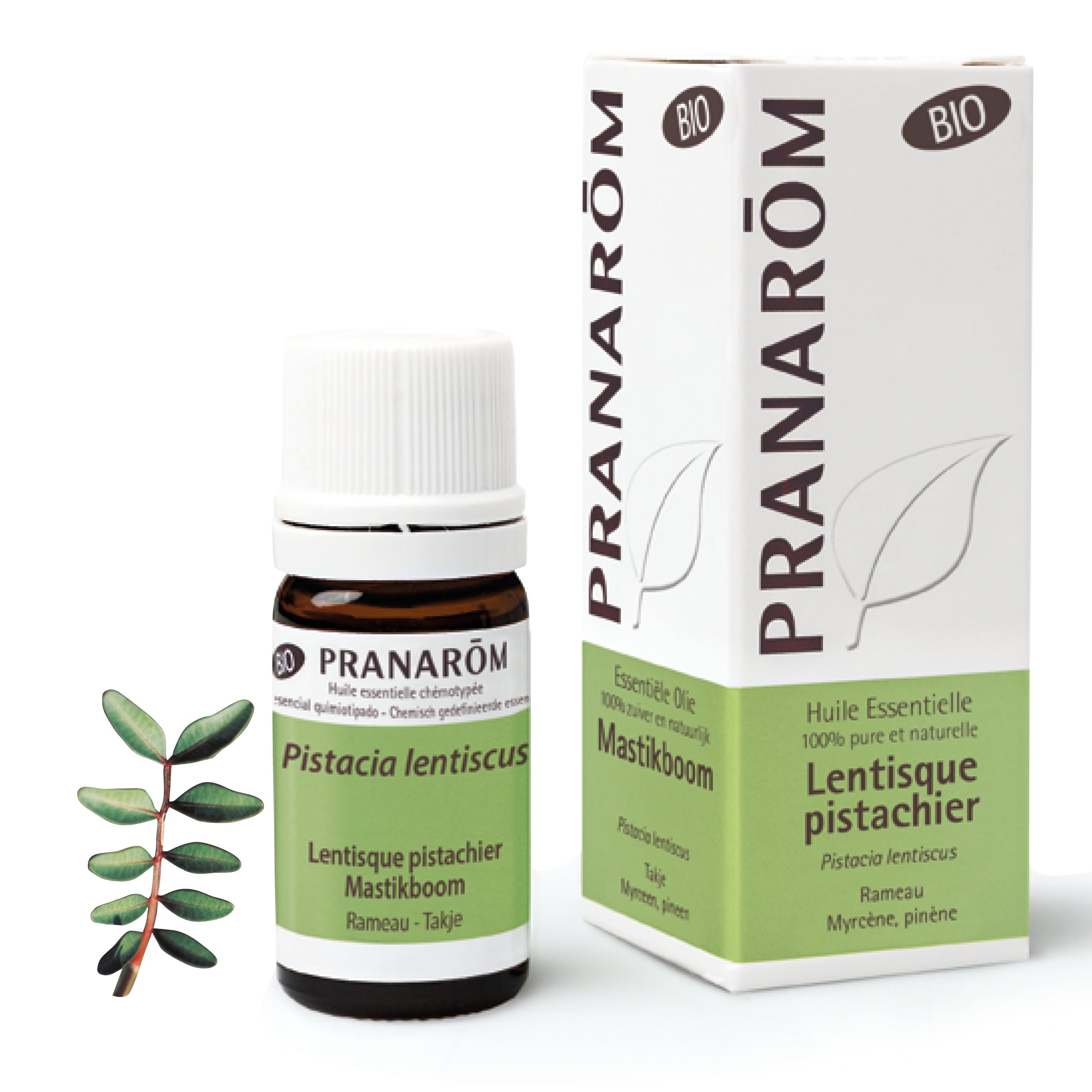 15208-hebio-frnl20-lentisque-pistachier-mastikboom-5ml-pranarom-01.jpg