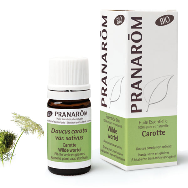 15211-hebio-frnl20-carotte-wilde-wortel-5ml-pranarom-01.jpg