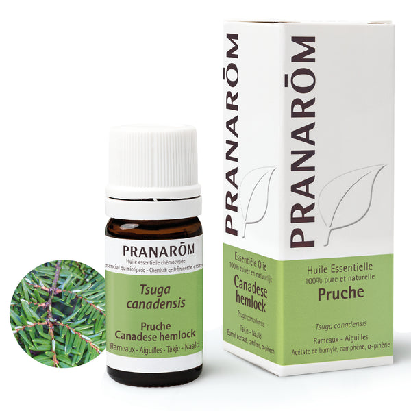 17978-he-frnl22-pruche-canadese-hemlock-5ml-pranarom-01.jpg