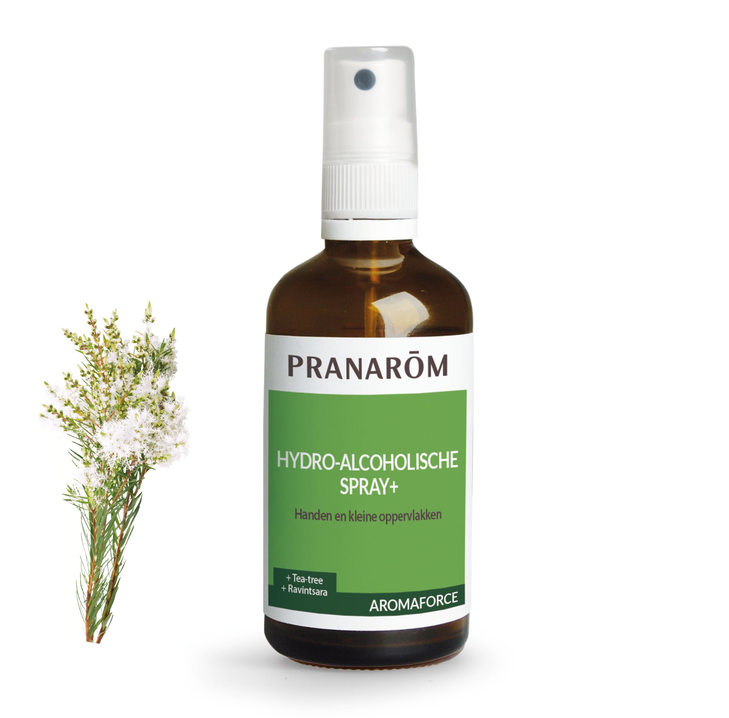 18425-frbe21-aromaforce-spray-hydro-alcoolique-100ml-pranarom-01.jpg