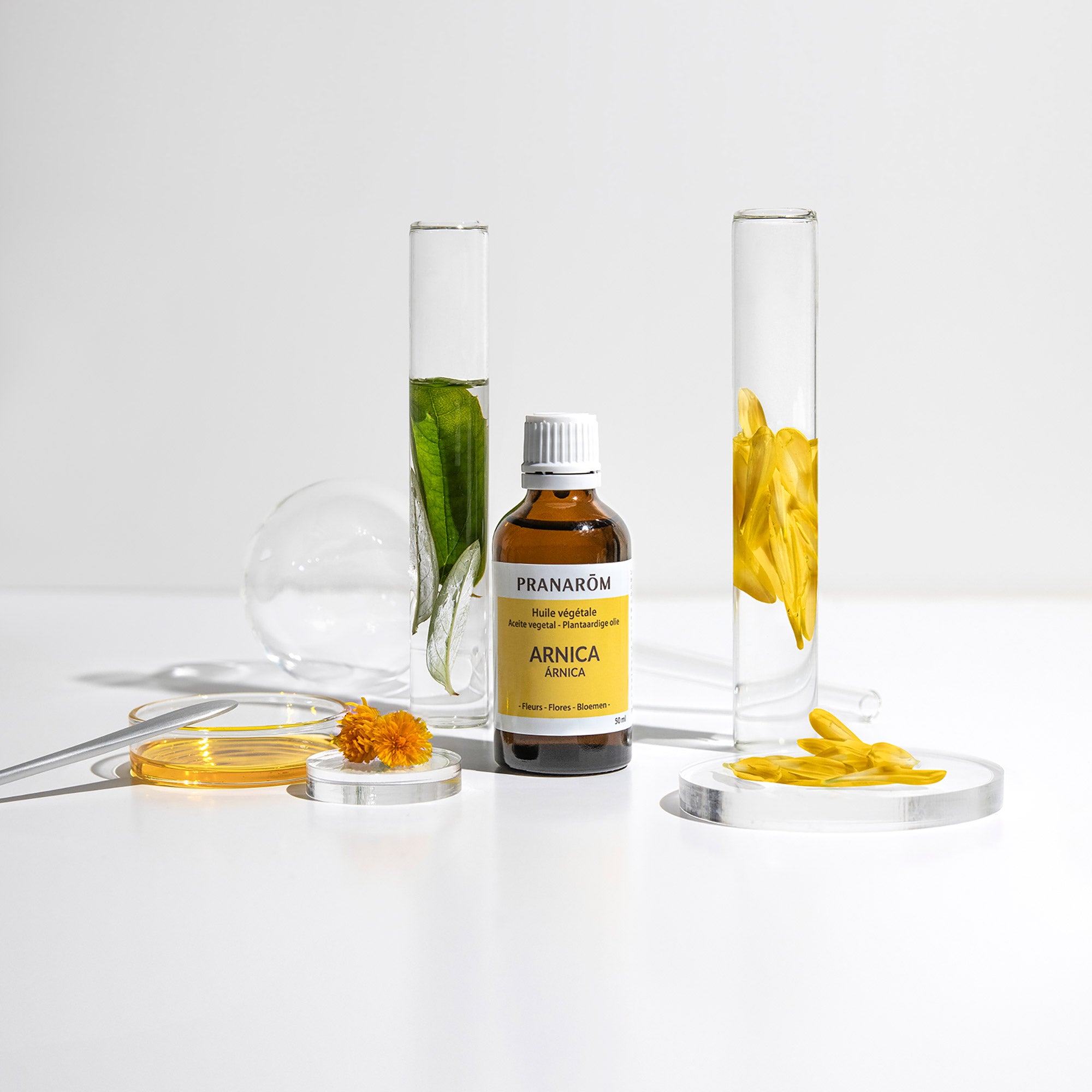 Huile Végétale d'Arnica