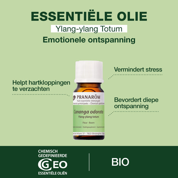 2429-he-ylang-ylang-totum-pranarom-5ml-bio-nl25-5420008524295-02.jpg